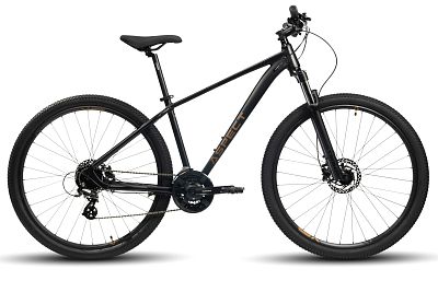 Превью Прогулочный горный велосипед ASPECT Nickel 29 (2024)